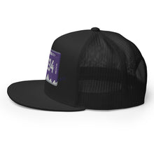 Load image into Gallery viewer, Virginia License Plate Hat
