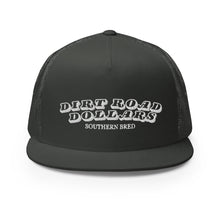 Load image into Gallery viewer, Dirt Road Dollars